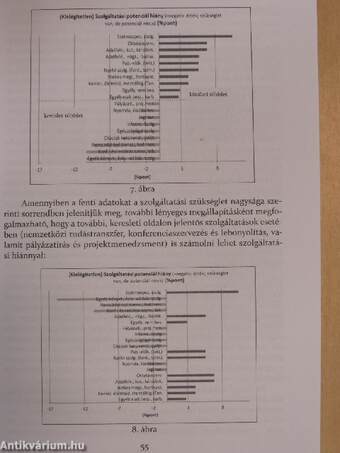 Szolgáltatásinkubáció az egyetemi szférában