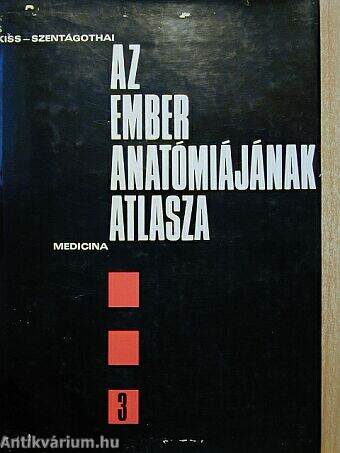 Az ember anatómiájának atlasza III. (töredék)