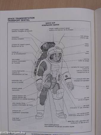 Angol-francia képes szótár/Visual Dictionary/Dictionnaire Visuel