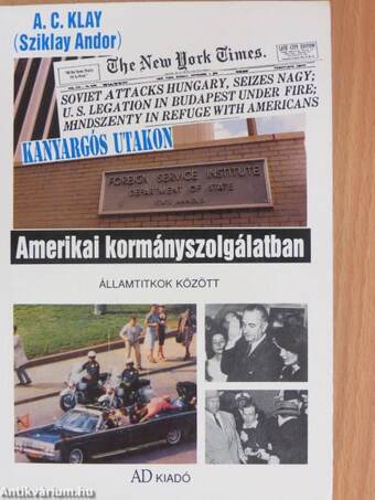 Amerikai kormányszolgálatban