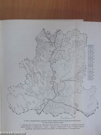 Csongrád megye gazdasági földrajza