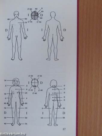 Az ember a sugárzások hálójában