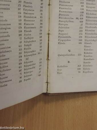 Die Vorwelt der organischen Wesen auf der Erde. Eine Einleitung zu Friedrich Holl's Handbuch der Petrefactenkunde/Handbuch der Petrefactenkunde 1-4. (gótbetűs)