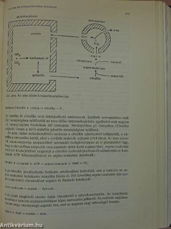 Biokémia