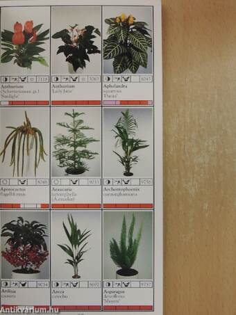 Potplanten/Pot Plants/Topfpflanzen/Plantes en pot/Piante da vaso/Planta en particular 1993/94