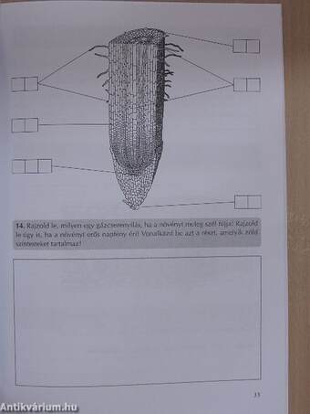 A változatos élővilág I.