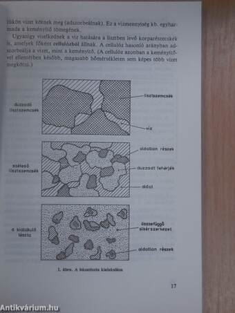 Sütőipari technológia II.