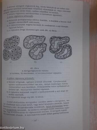 Funkcionális állatanatómia I. (töredék)