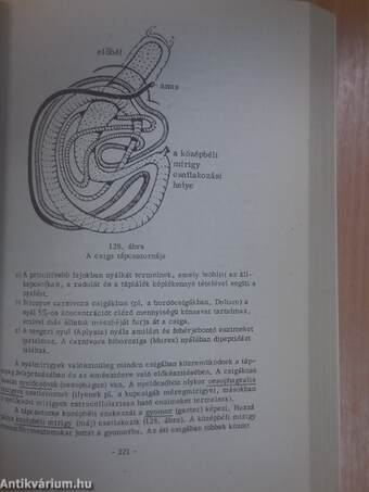 Funkcionális állatanatómia II. (töredék)