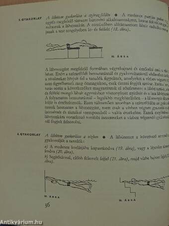 Úszástanítás - úszástanulás