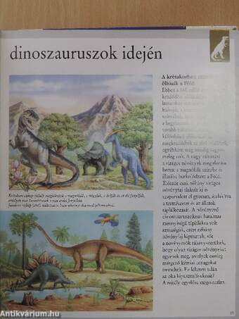 Dinoszauruszok és más kihalt állatok