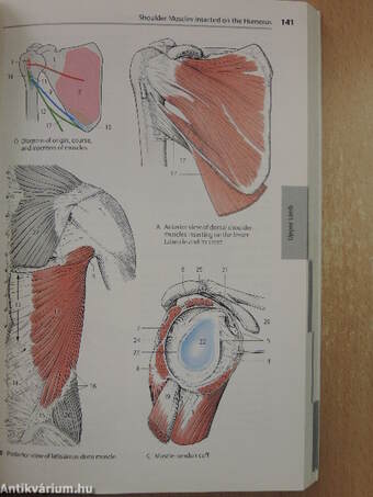 Color Atlas and Textbook of Human Anatomy 1.