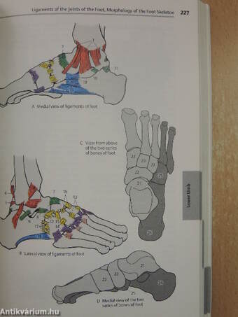 Color Atlas and Textbook of Human Anatomy 1.