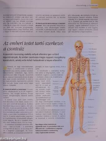 A csodálatos emberi test