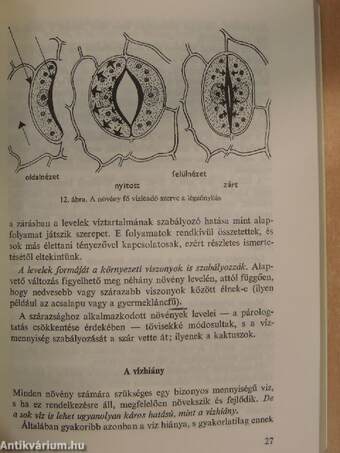 Öntözzük kertjeinket!