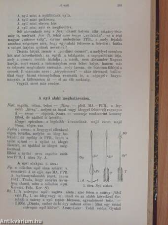 Magyar Nyelv 1906. január-december