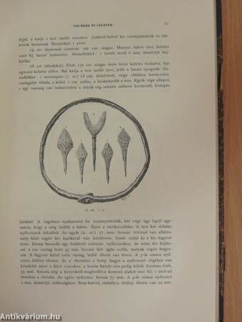 Archaeologiai Értesitő 1904/1-5.