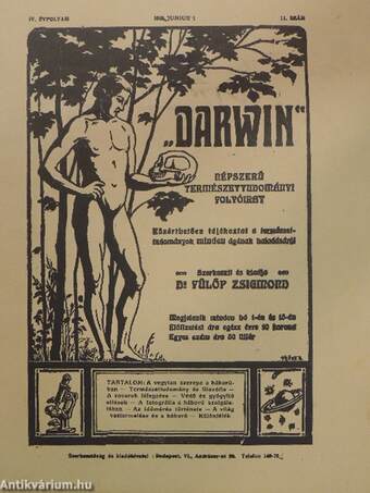 "Darwin" 1915. junius 1.