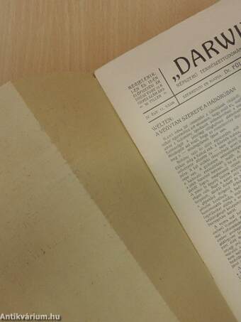 "Darwin" 1915. junius 1.