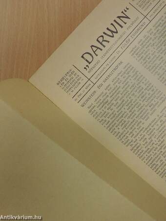 "Darwin" 1915. junius 15.