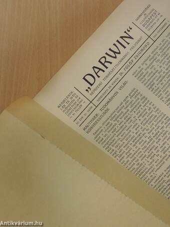 "Darwin" 1915. december 1.