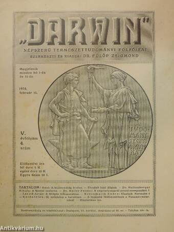 "Darwin" 1916. február 15.