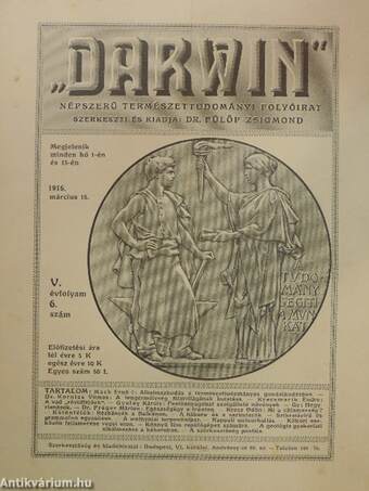 "Darwin" 1916. március 15.