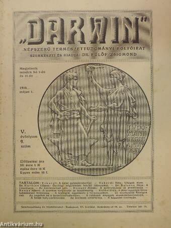 "Darwin" 1916. május 1.
