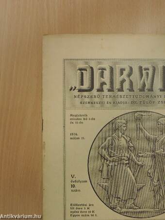 "Darwin" 1916. május 15.