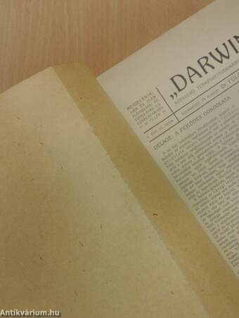 "Darwin" 1916. dec. 1.