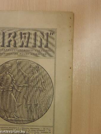 "Darwin" 1917. junius 1.