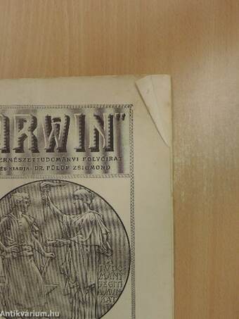 "Darwin" 1918. junius 1.