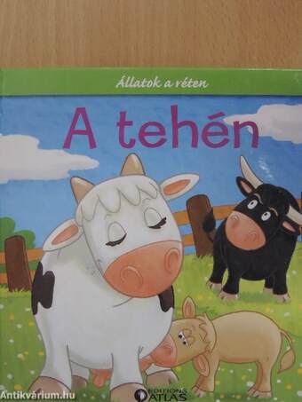 A tehén