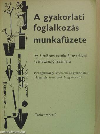 A gyakorlati foglalkozás munkafüzete az általános iskola 6. osztályos leánytanulói számára