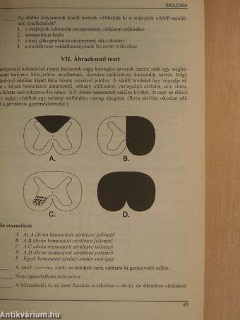 Felvételi feladatok és lehetőségek a felsőoktatási intézményekben 1993.