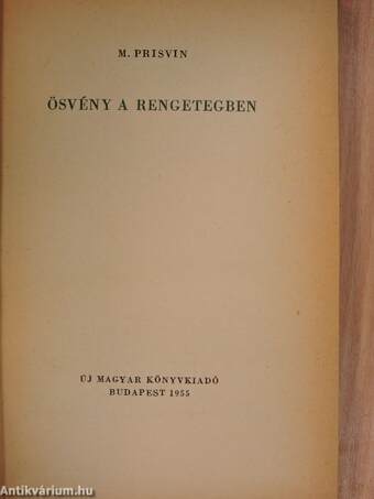 Ösvény a rengetegben