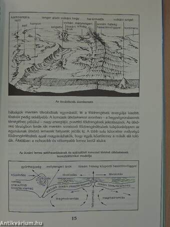 Hegyek ormán - tengerek mélyén