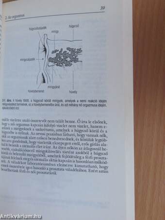 Szexuális harmónia fiatalkortól időskorig