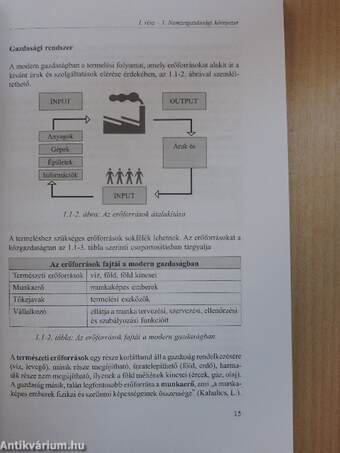 Vállalkozásgazdálkodási ismeretek ügyintézők részére