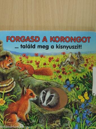 Forgasd a korongot... találd meg a kisnyuszit!