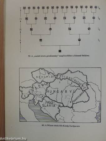 A magyarság genetikája