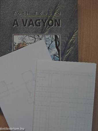 A vagyon