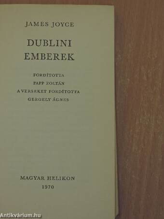 Dublini emberek