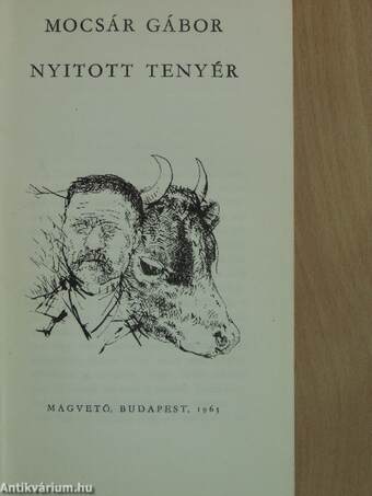 Nyitott tenyér