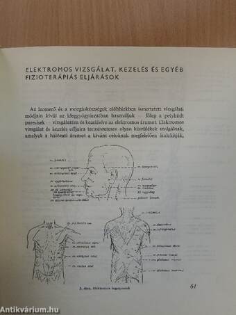 Gyógytorna az ideg- és elmegyógyászatban