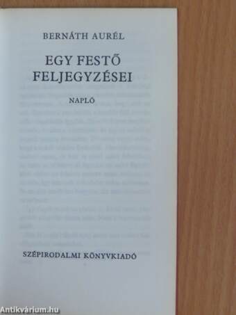 Egy festő feljegyzései