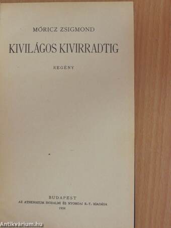 Kivilágos kivirradtig