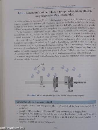 Immunológiai módszerek