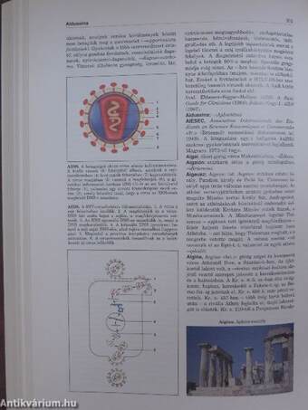 Magyar Nagylexikon 1. (töredék)