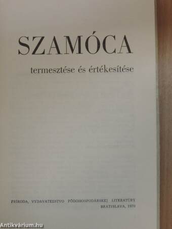 Szamóca